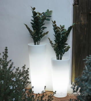 Macetero Ficus 60 Light (30X30X60)