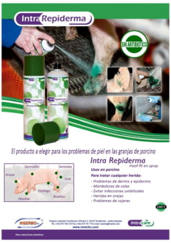 DS-850 Intra Repiderma.pdf DS-850 Intra Repiderma.pdf