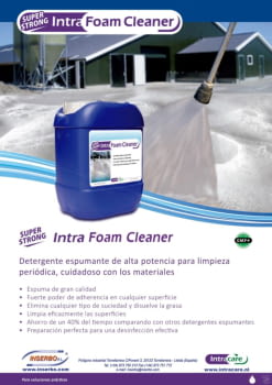 Super Strong Intra Foam Cleaner.pdf