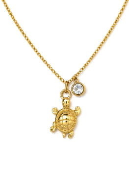 Collar Tortuga Brillo