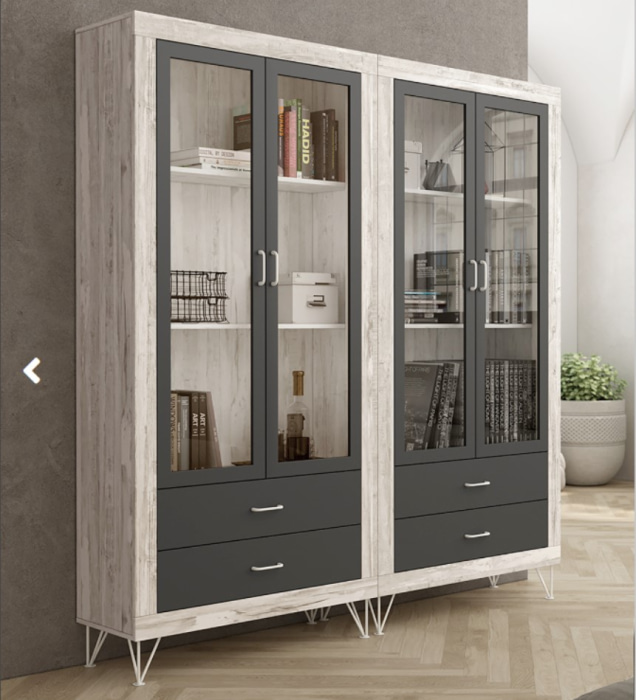 VITRINA DOS PUERTAS+DOS CAJONES