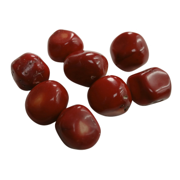 Canto rodado de coral - 1