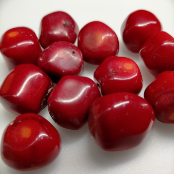 Canto rodado de coral - 2