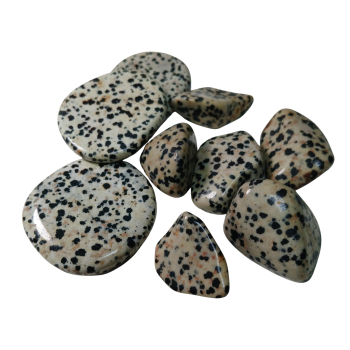 Canto rodado de jaspe dálmata - 1