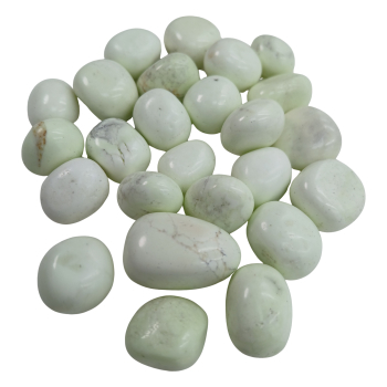 Còdol de crisopasa llimona - 1