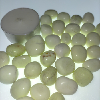 Còdol de crisopasa llimona - 2