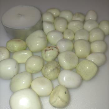 Còdol de crisopasa llimona - 3