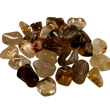 Còdol de citrí - 1