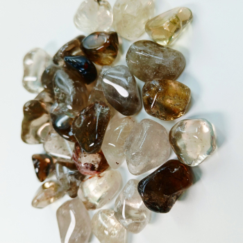 Còdol de citrí - 2