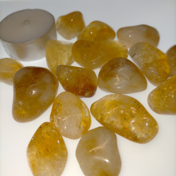 Còdol de citrí - 4