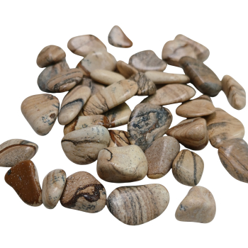 Còdol de païsina - 1