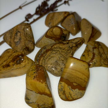 Còdol de païsina - 3