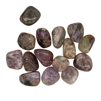 Còdol de Xaroïta - 1