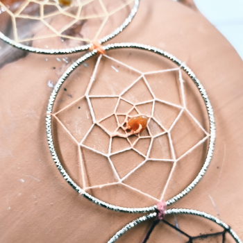 Atrapasols daurat - 5