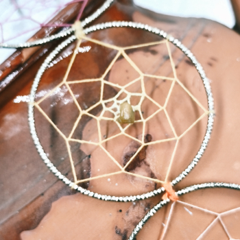 Atrapasols daurat - 7