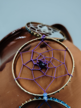 Atrapasols daurat i blau - 5