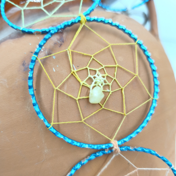 Atrapasols blau plata - 6