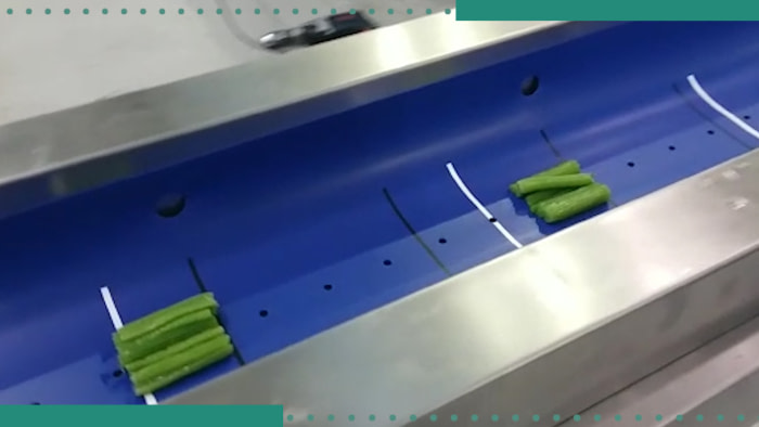 Banda transportadora alimentaria con forma de "U"