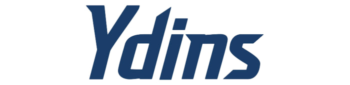 YDINS