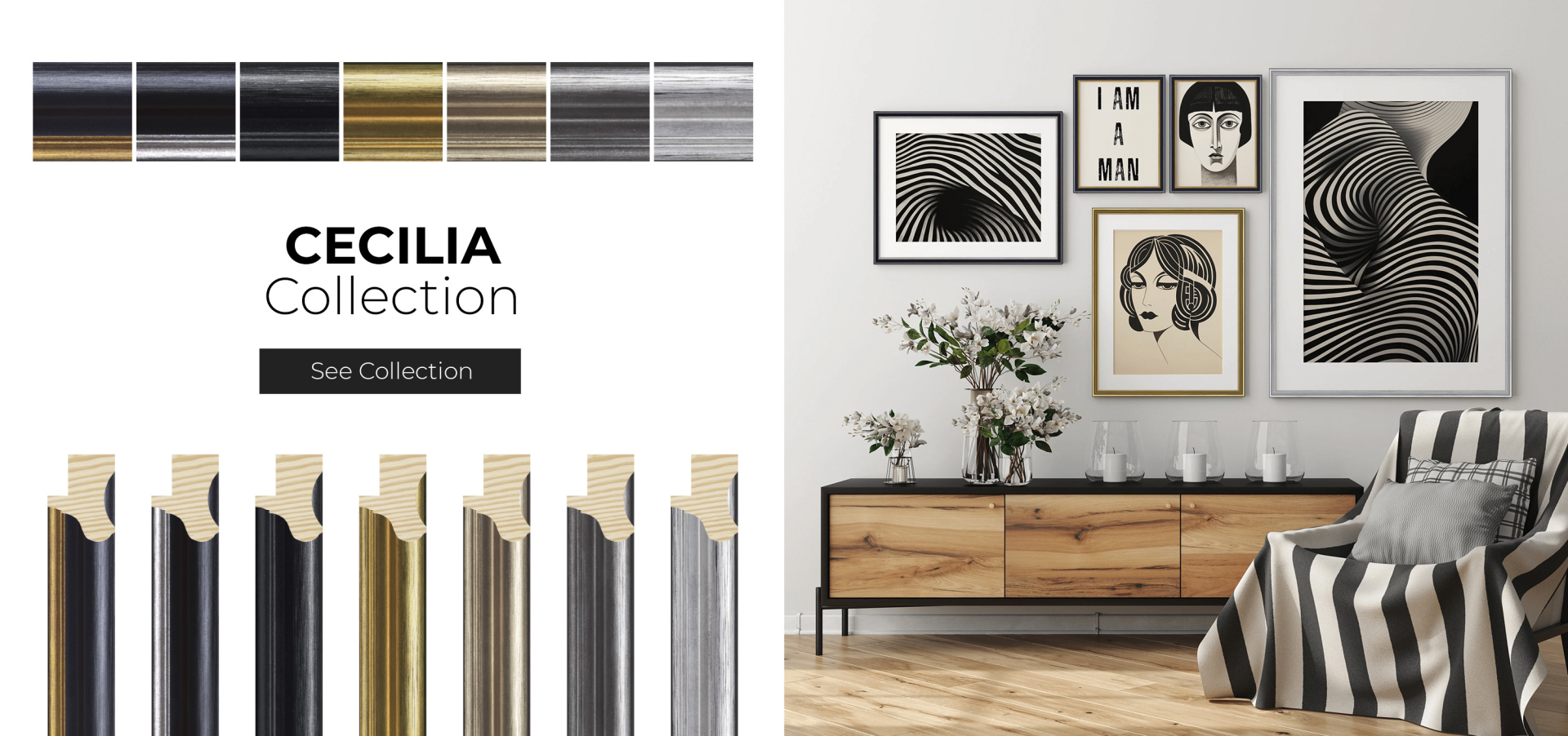 Coleccion Cecilia