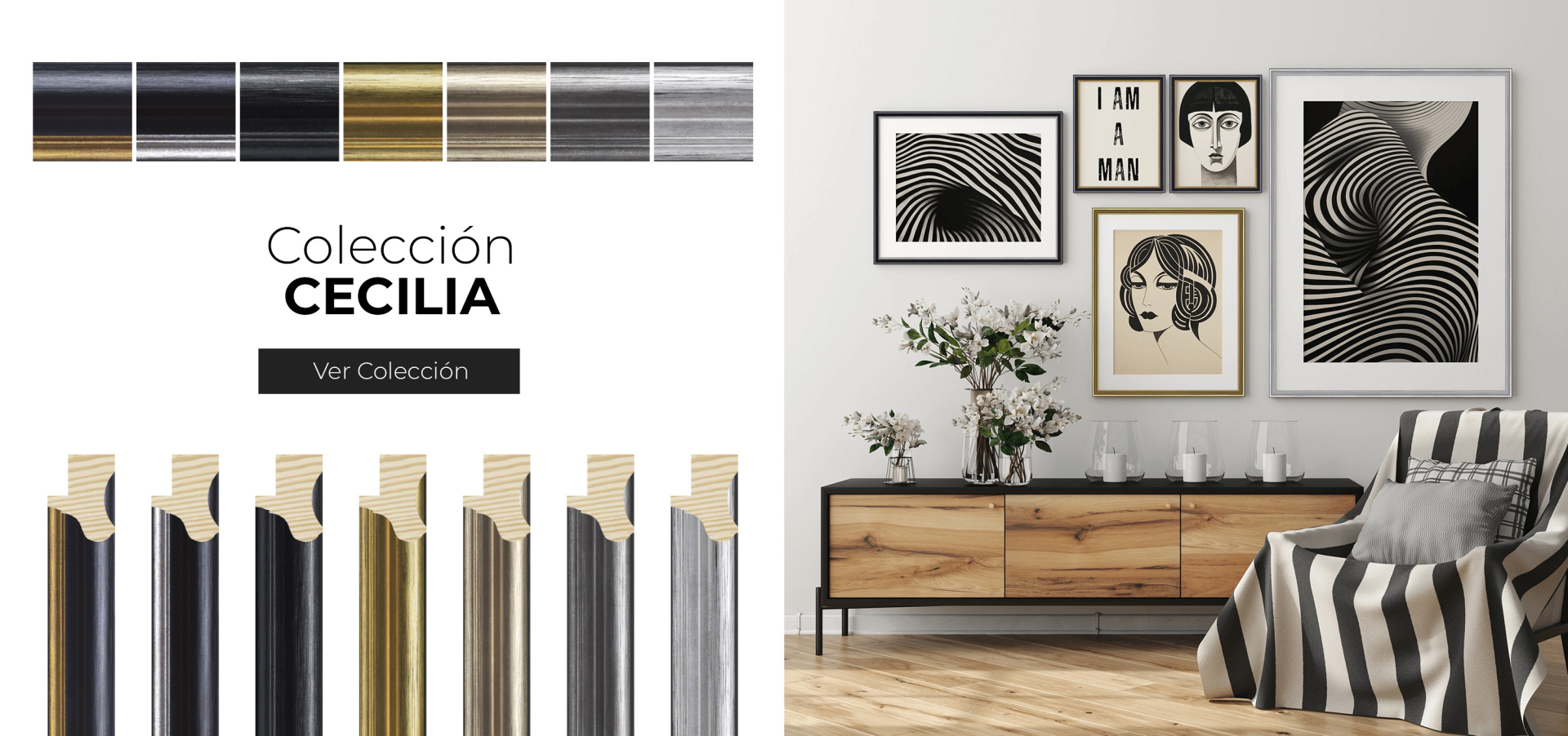 Coleccion Cecilia