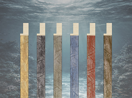 collection NEPTUNO