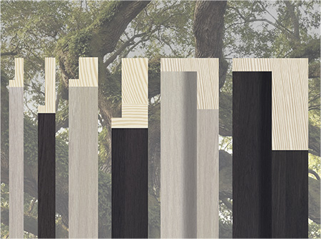 collection OAKLINE