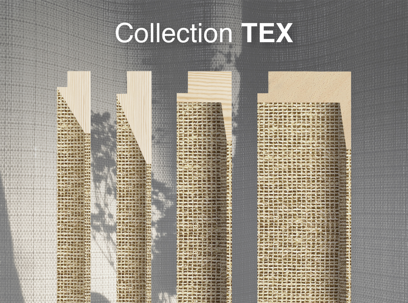 collection TEX