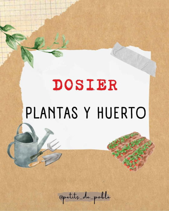 DOSSIER PLANTES I HORT