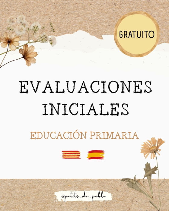 AVALUACIONS INICIALS