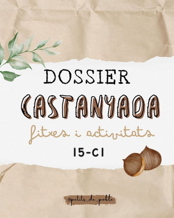 FICHAS CASTAÑADA