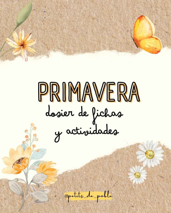 FITXES PRIMAVERA