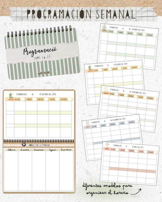 PROGRAMACIÓ SETMANAL 26-27