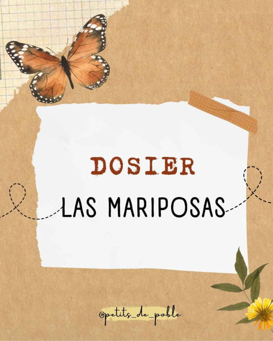 DOSSIER LES PAPALLONES