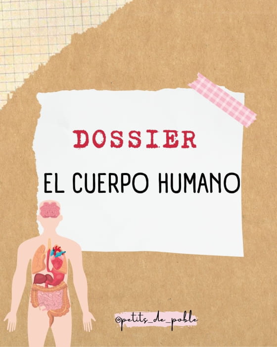 DOSIER EL CUERPO HUMANO