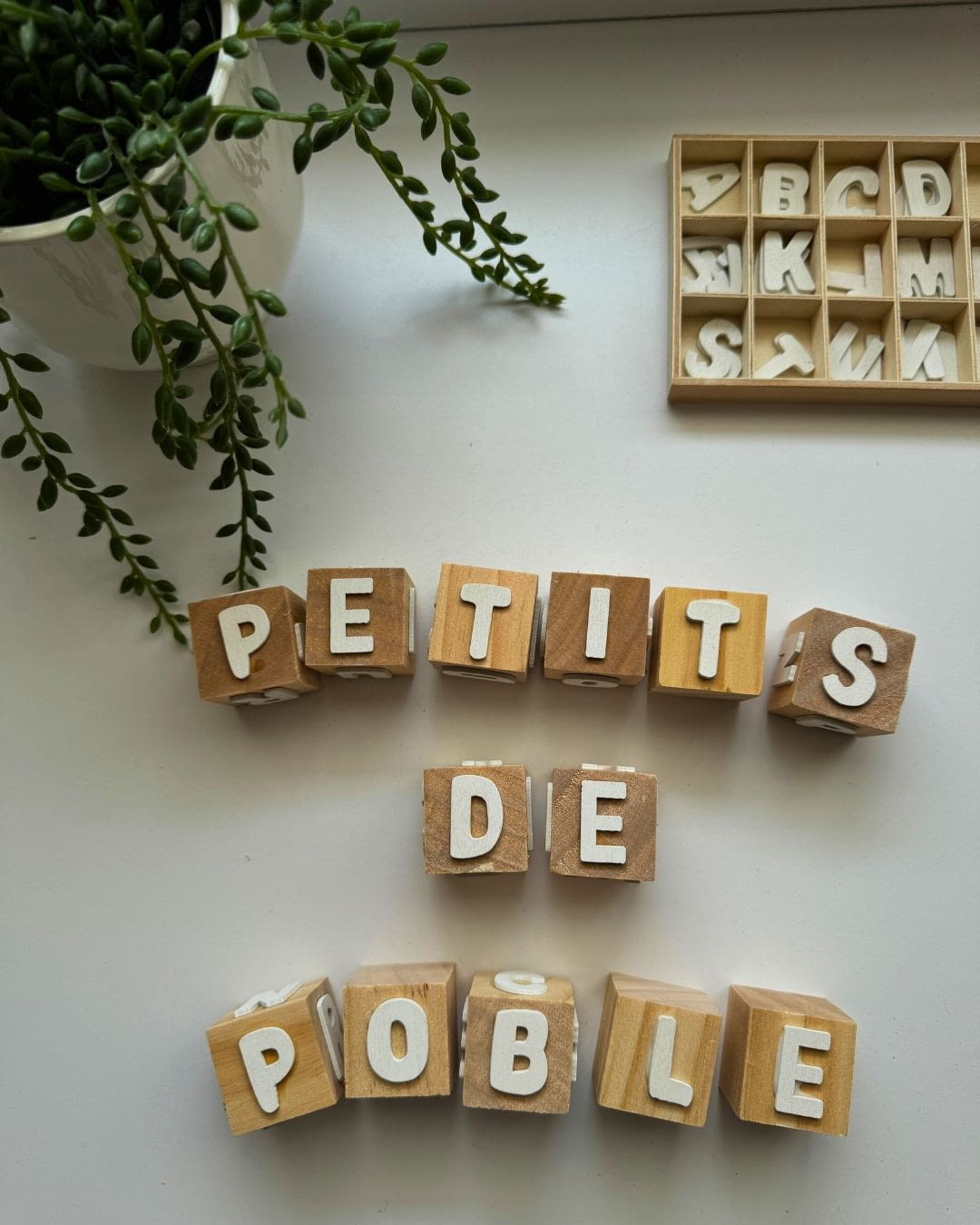 Cubs de fusta que formen les lletres Petits de Poble