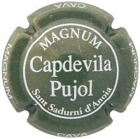 CAPDEVILA PUJOL V. 4252 X. 03750 MAGNUM (GRIS)