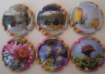ALDEBARAN JUEGO 6 PLACAS V. 11629-631-125-129-630-627