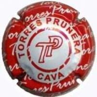 TORRES PRUNERA V. 18223 X. 61539