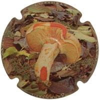 XEPITUS V. 15439 X. 44004