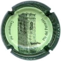 JOAN PIÑOL TORRENTS V. 14590 X. 46303