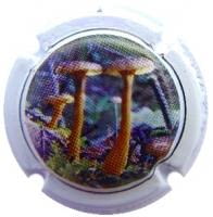 FUCHS DE VIDAL V. 18546 X. 64558