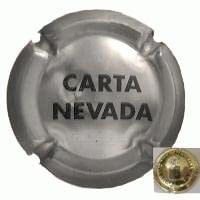FREIXENET V. 0463 X. 06866 CARTA NEVADA PLATEADA REVERSO