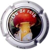 FUCHS DE VIDAL V. 9925 X. 31811