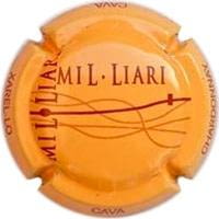 MIL.LIARI V. 18076 X. 61709