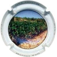 MAIANS VELL V. 21770 X. 70142