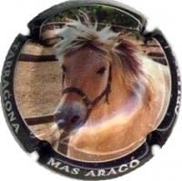 CELLERS CAMP DE TARRAGONA V. 17123 X. 62527