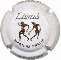 LLISUA V. 9993 MAGNUM GRATIS "PAGAT"