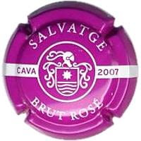 SALVATGE NADAL V. 16392 X. 53771 (2007)