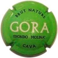 GORA IDIONDO I MOLINA X. 72997